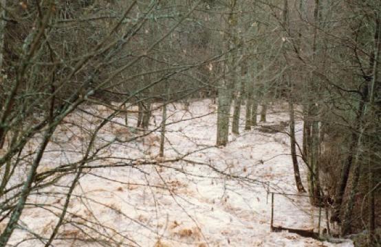 Hochwasser Anfang der 90ziger