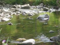 Campingplatz Stockenmühle — photo 4